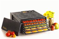 dehydrator accompanied by fruit