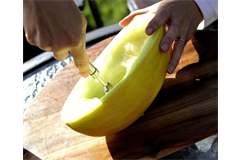 melon baller being used to scoop out the melon 