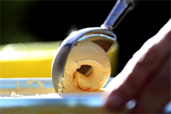 ice cream scoop scooping vanilla ice cream 