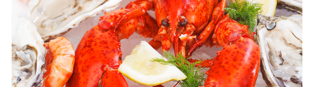 cooked lobster on a plate with salad