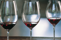 A series of elegant wine glasses in a row each containing red wine 