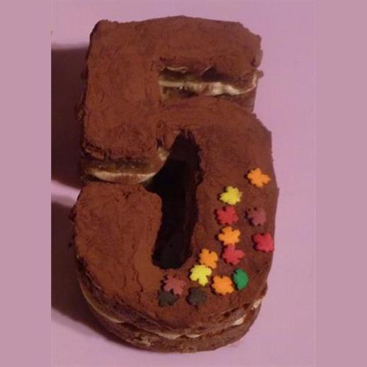 5 cake mould