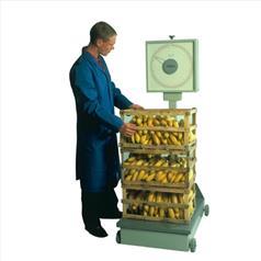 High Capacity Platform Scales Max load:100kg x 500g